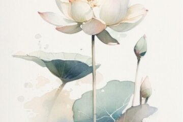 A arte de descansar: quando a respiração devolve o corpo para casa