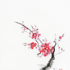 O poder da Respiração: Filosofia e Neurociência